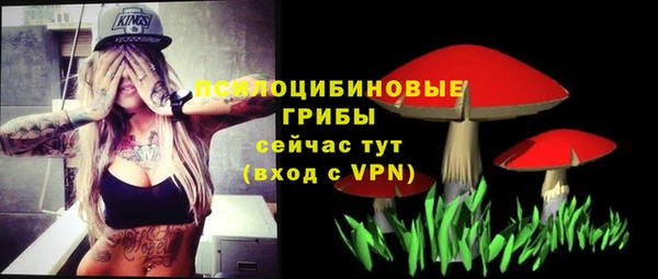 кокс Козловка