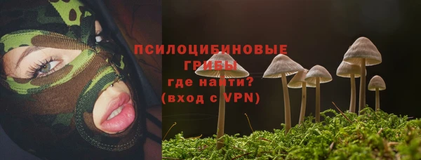 гашик Киренск