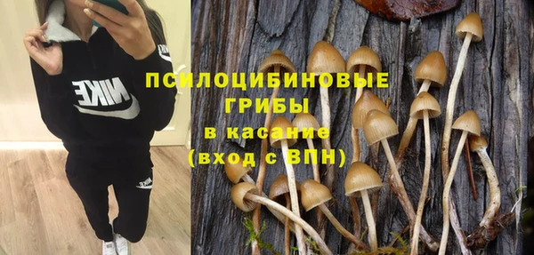 гашик Киренск