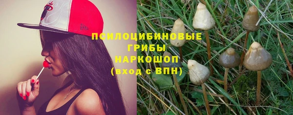 гашик Киренск