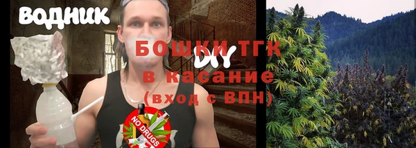 прущие грибы Касимов