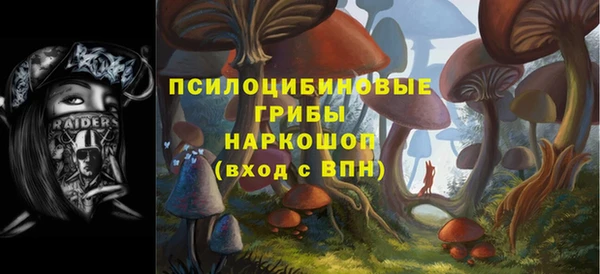 ПСИЛОЦИБИНОВЫЕ ГРИБЫ Кинешма