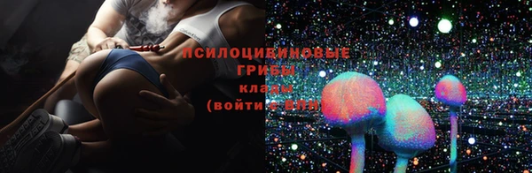 ПСИЛОЦИБИНОВЫЕ ГРИБЫ Кинешма