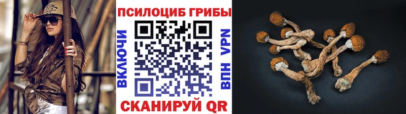 Купить  Салаир  Псилоцибиновые грибы ЛСД 